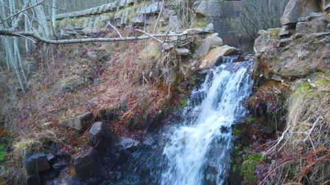 Water Flowing from Stone Dam – Rustic Waterfall in Forest 4K Stock Footage 329917742