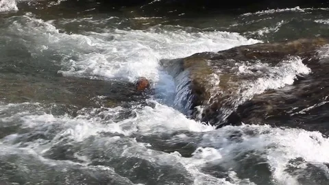 Water flowing on the stony course Stock Footage 84967158