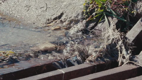 Water flowing storm drain Video stock 162590361