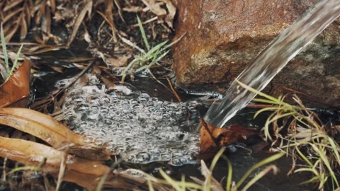 Water Flowing from storm drain pipe Stock Footage 249802057