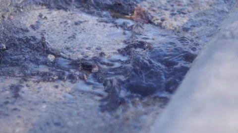 Water flowing in a storm gutter (close-up) Stock Footage 48110628