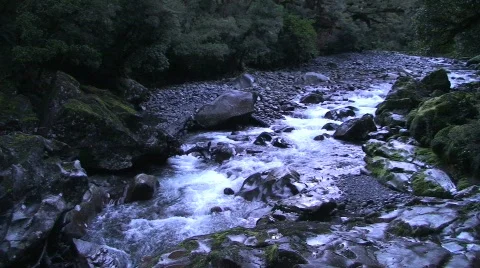 Water Flowing from a Stream Vídeo Stock 245664