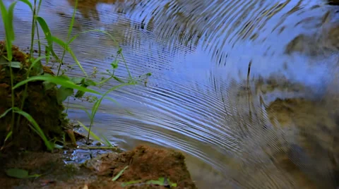 Water flowing in the stream Stock Footage 32503808