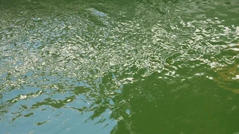 The water is flowing in the stream. Stock Footage 125257455