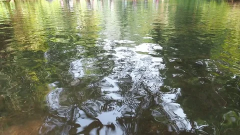 The water is flowing in the stream. Stock Footage 128056032