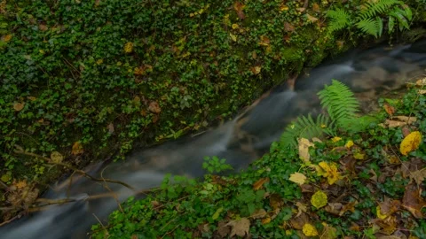 Water flowing in a stream Peak District National Park, Derbyshire, England Stock Footage 288041909
