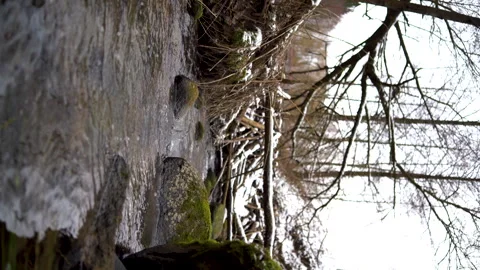 Water is flowing in stream river through the stones in winter snowy forest. Video stock 240202032