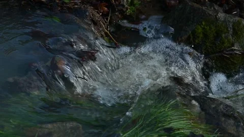 Water flowing in a stream at a small waterfall in winter Stock Footage 323154947