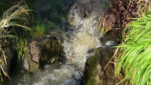 Water flowing in a stream at a small waterfall in winter Stock Footage 323155456