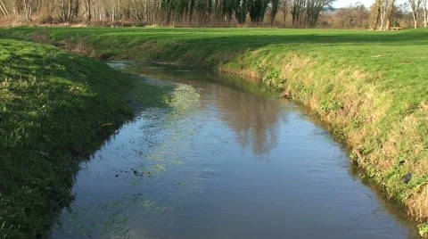 Water Flowing from a Stream - Time Lapse Stock-Footage 245759