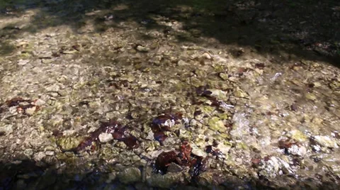 Water flowing throug a shallow riverbed 스톡 동영상 37902456
