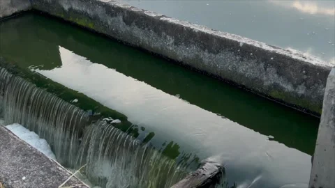Water flowing through a concrete irrigation channel weir 스톡 동영상 336453861