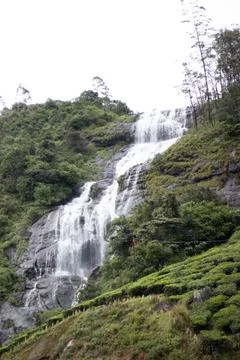 Water flowing through the hill side Stock Photos