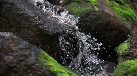 Water flowing through mossy rocks Colorado Stock Footage 37623962