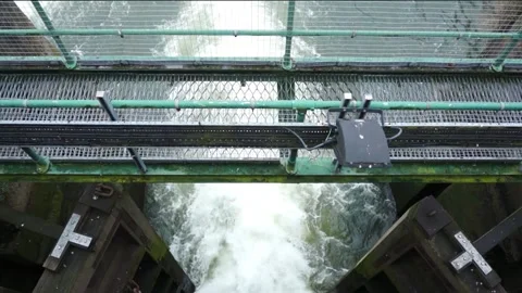 Water flowing through open lock gates Stock Footage 169969933