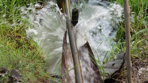 Water Flowing Through Pipe into Field Stock Footage 311722296