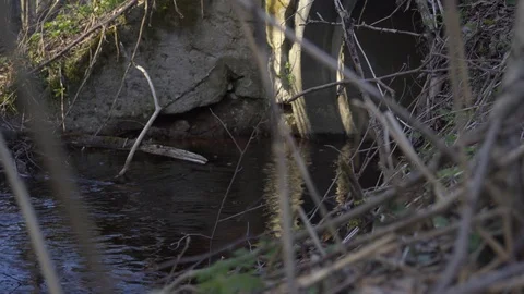 The water flowing through the pipe under a dirt road. Stock Footage 129775797