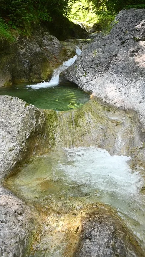 Water flowing through ponds of a small mountain stream in summer, vertical shot Stock Footage 288324867