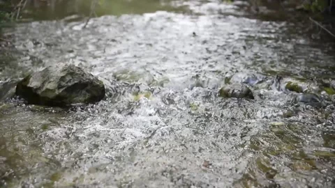 Water flowing through a river Two rocks in the middle of a riverbed Stock Footage 152649810