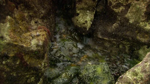 Water flowing through rock 動画素材 95604747