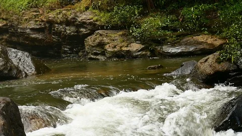 Water flowing through the rock in forest Stock Footage 107085404