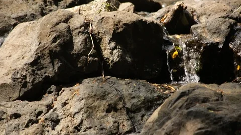 Water Flowing Through Rocks (2) Stock Footage 104828674