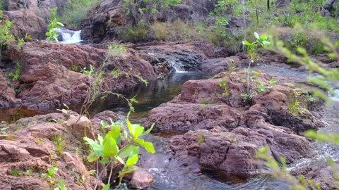Water flowing through rocks Stock Footage 215517174