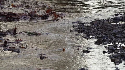 Water flowing through rocks Stock Footage 255413871
