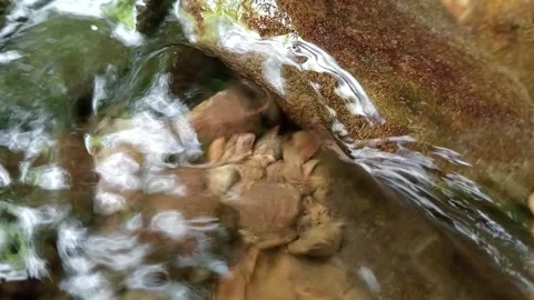 Water Flowing Through Rocks in Forest Stream – Close Up Nature Video Stock Footage 329768011