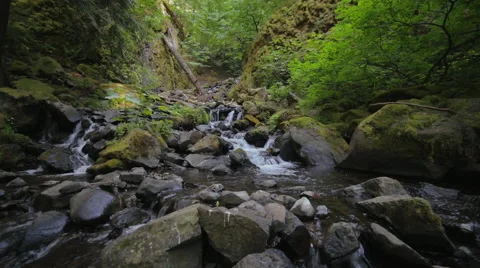 Water Flowing Through Rocks in the Pacific Northwest Stock Footage 53033373