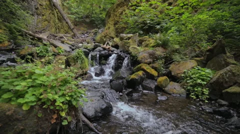Water Flowing Through Rocks in the Pacific Northwest 2 Stock Footage 53033535