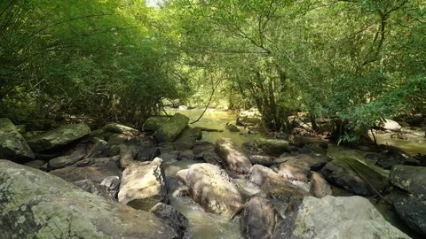 Water flowing through rocks in rainforest. Stream flowing through rocks. Nature. Stock Footage 260454051