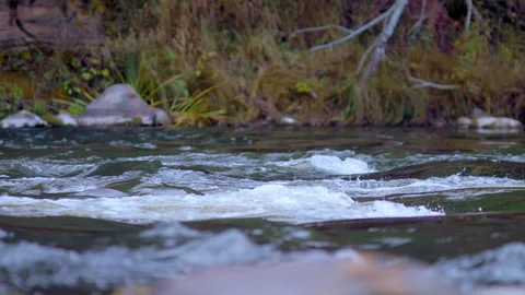 Water flowing through rocks in a river. Mountain stream Slow motion Stock Footage 141219982