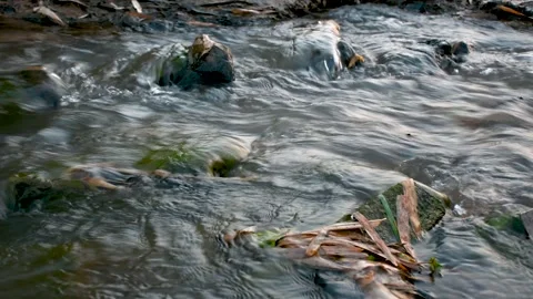 Water flowing through the rocks in the river Stock Footage 246527033