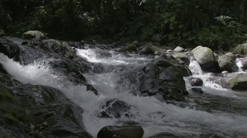Water flowing through Rocks in slow motion Stock-Footage 74907449