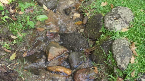 Water flowing through a small stream amidst stones and grass Stock Footage 294111355