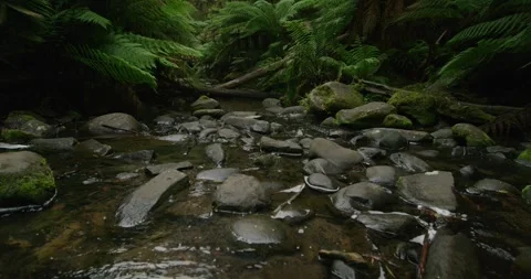 Water Flowing Through The Stream, 8K 스톡 동영상 332282392