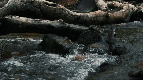 Water flowing through stream during fall Stock-Footage 127464134