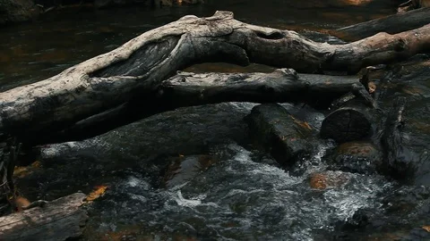 Water flowing through stream during fall Stock-Footage 127464137