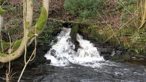 Water flowing through wall Stock Footage 168422666