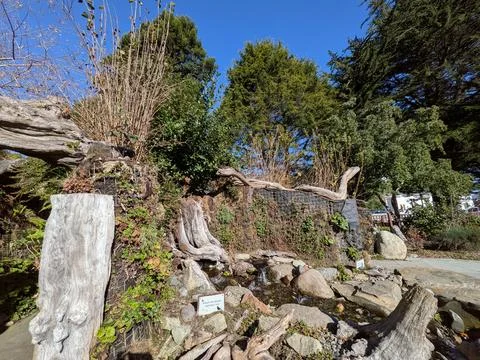Water flowing from tree trunk into small stream with living wall 库存照片