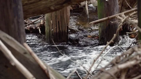 Water flowing under bridge Stock Footage 72602370