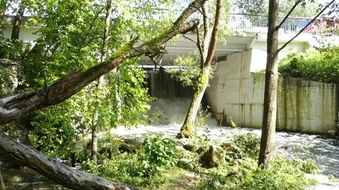 Water flowing under a bridge in a forest area during daytime with trees around a Stock Footage 325802946