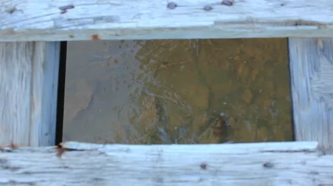 Water flowing under a bridge No.1 Video stock 45400612