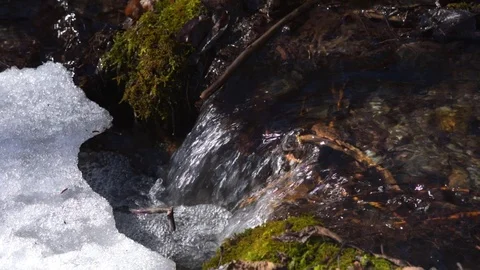 Water flowing under melting snow Stock Footage