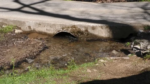 Water flowing under road through culvert, E USA Vídeo Stock 110993383