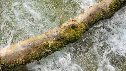 Water flowing under a tree stem in slow motion Stock Footage 90335769
