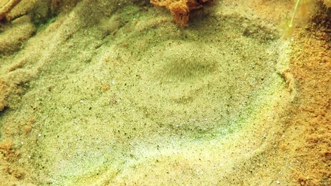 Water flowing from underwater spring spreading sand in slow motion Stock Footage 85023366