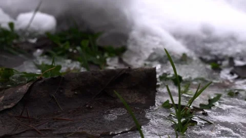 Water flowing into the water Stock Footage 258796304