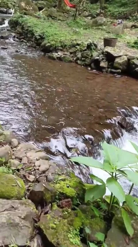 Water flowing from the waterfall Stock Footage 308213606